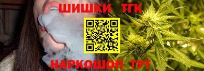 дживик Камышлов